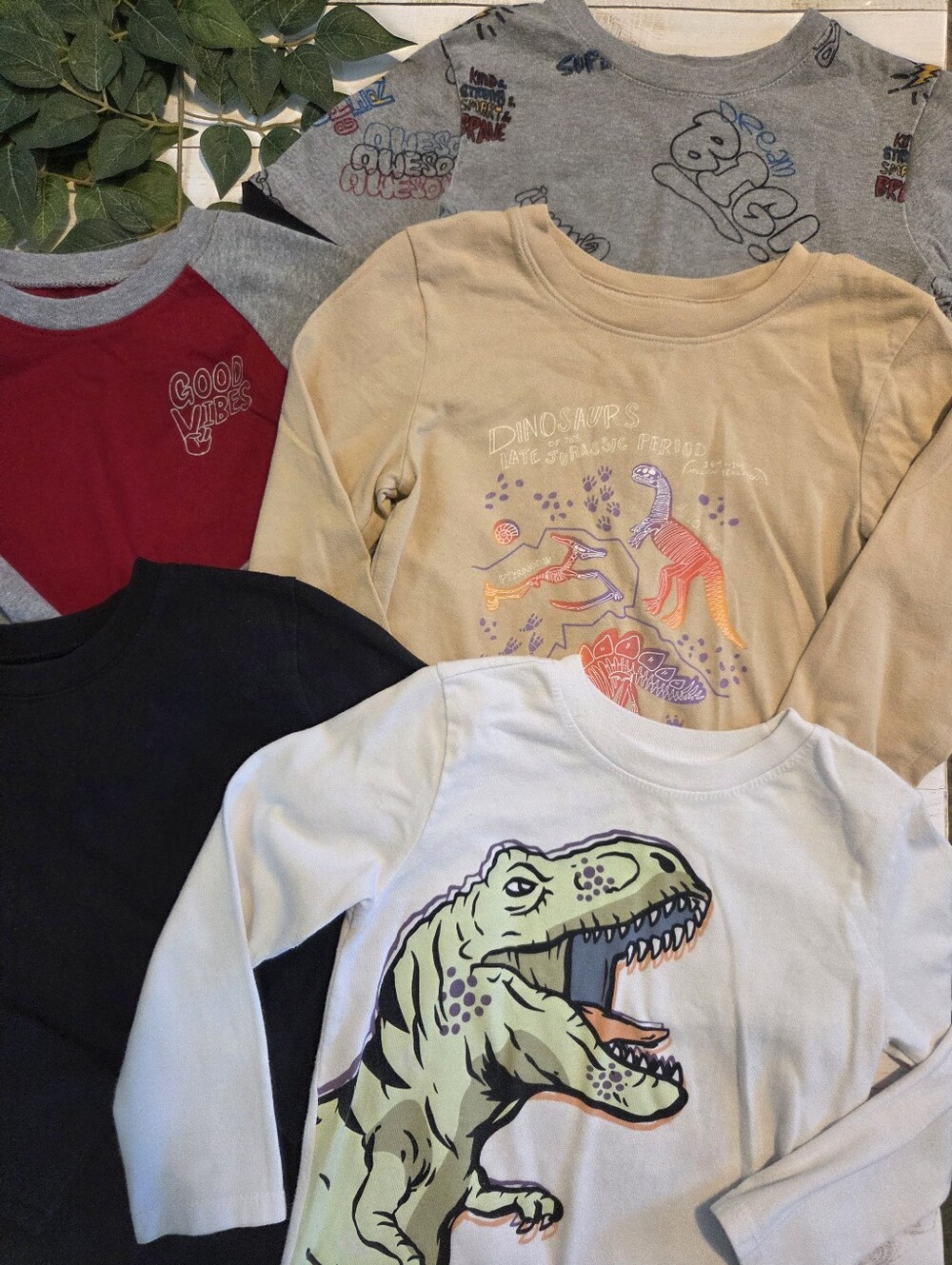 5 Boy's Long Sleeve T-Shirts, Size 4T